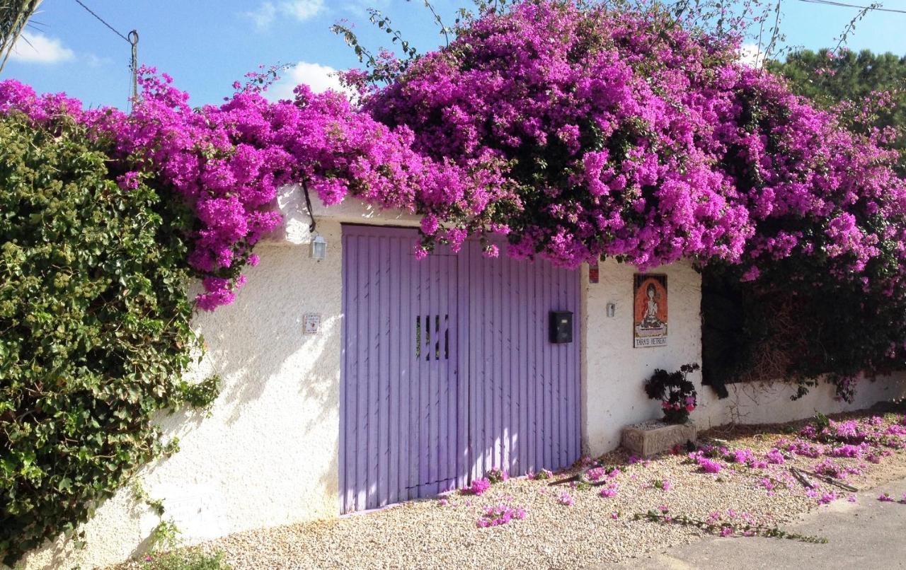 Tara Casa Hotel Cartagena Eksteriør billede